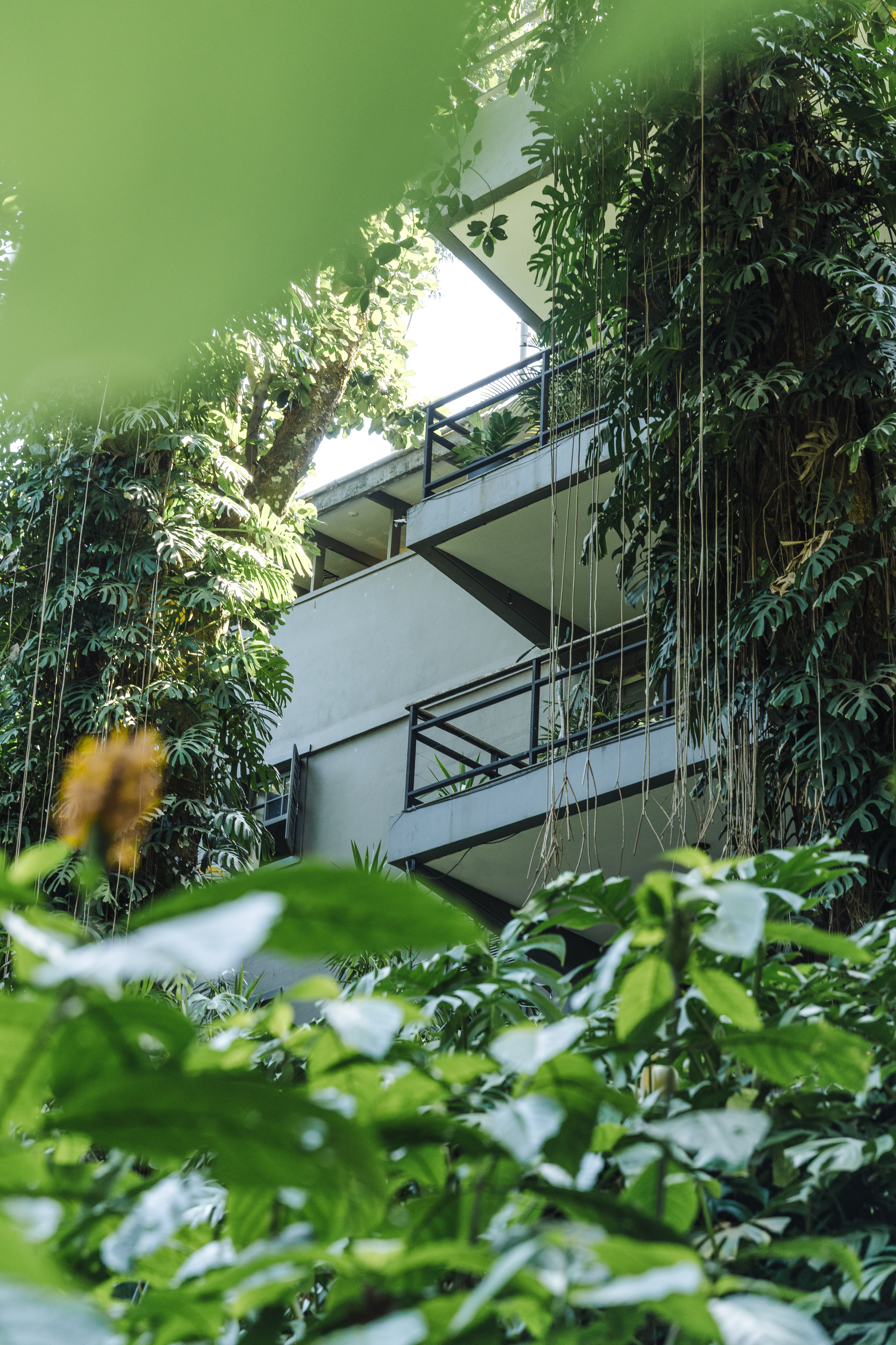 pool in green garden