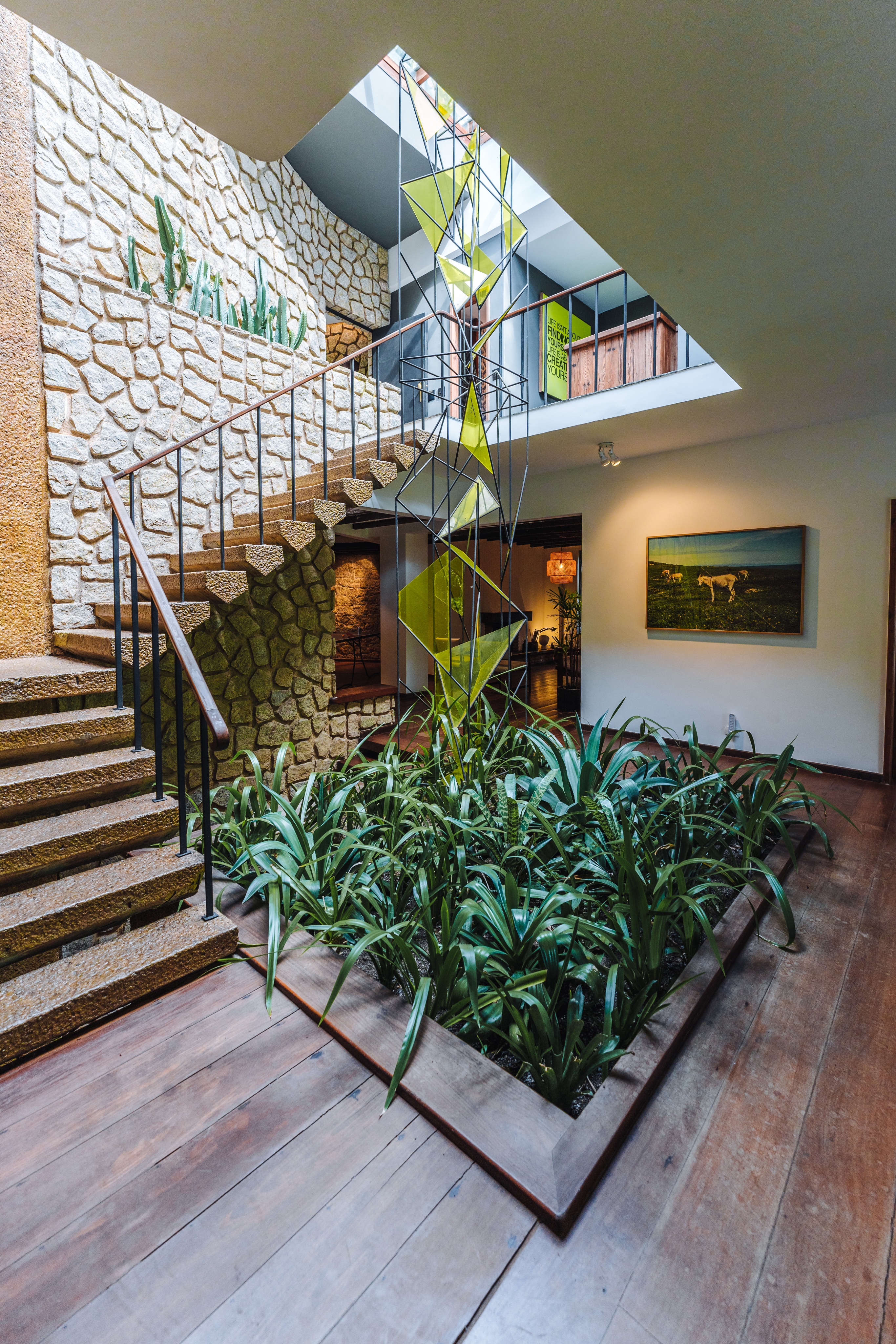 close-up of pine needles