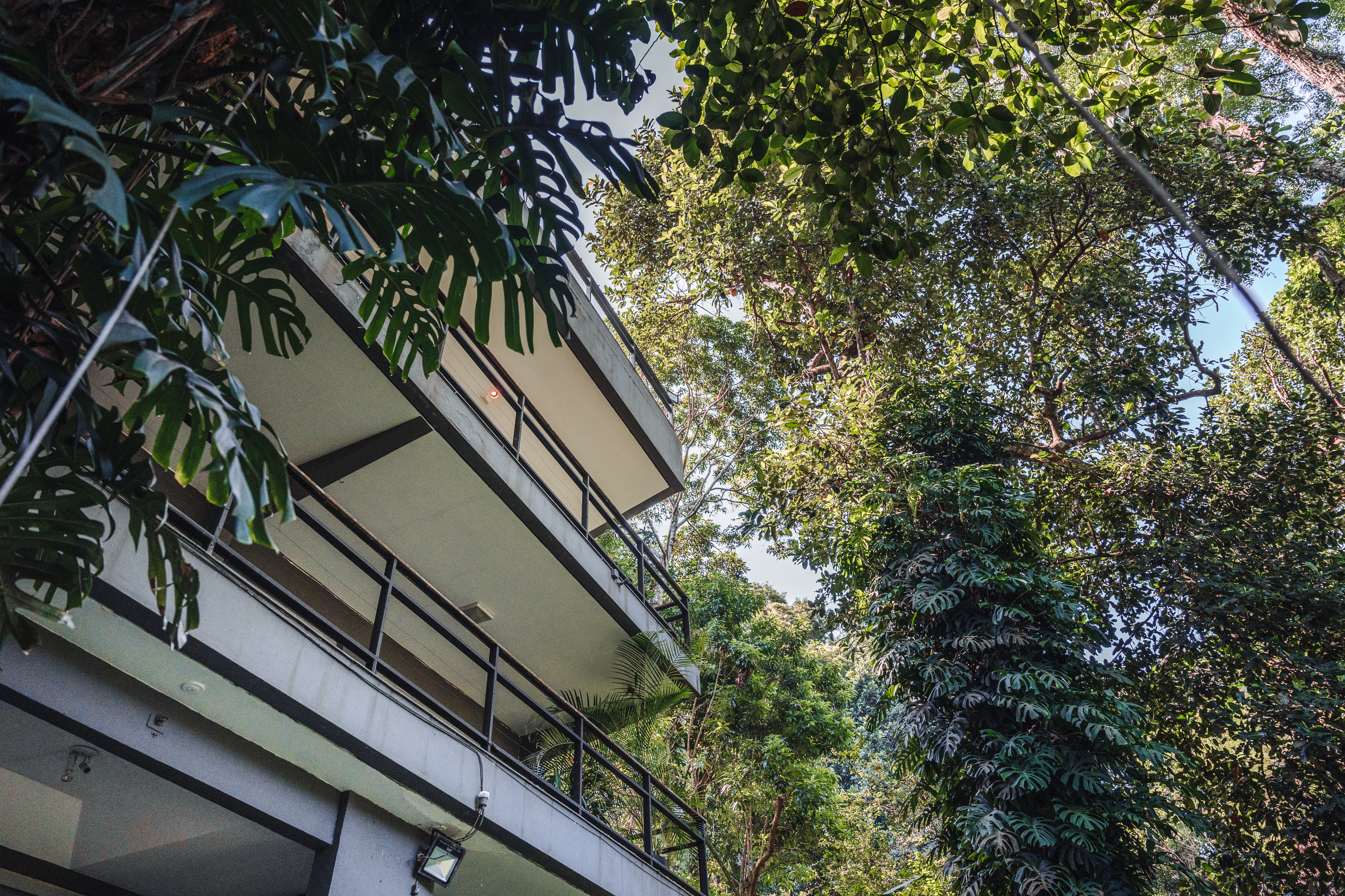 brick road with flowers on the side