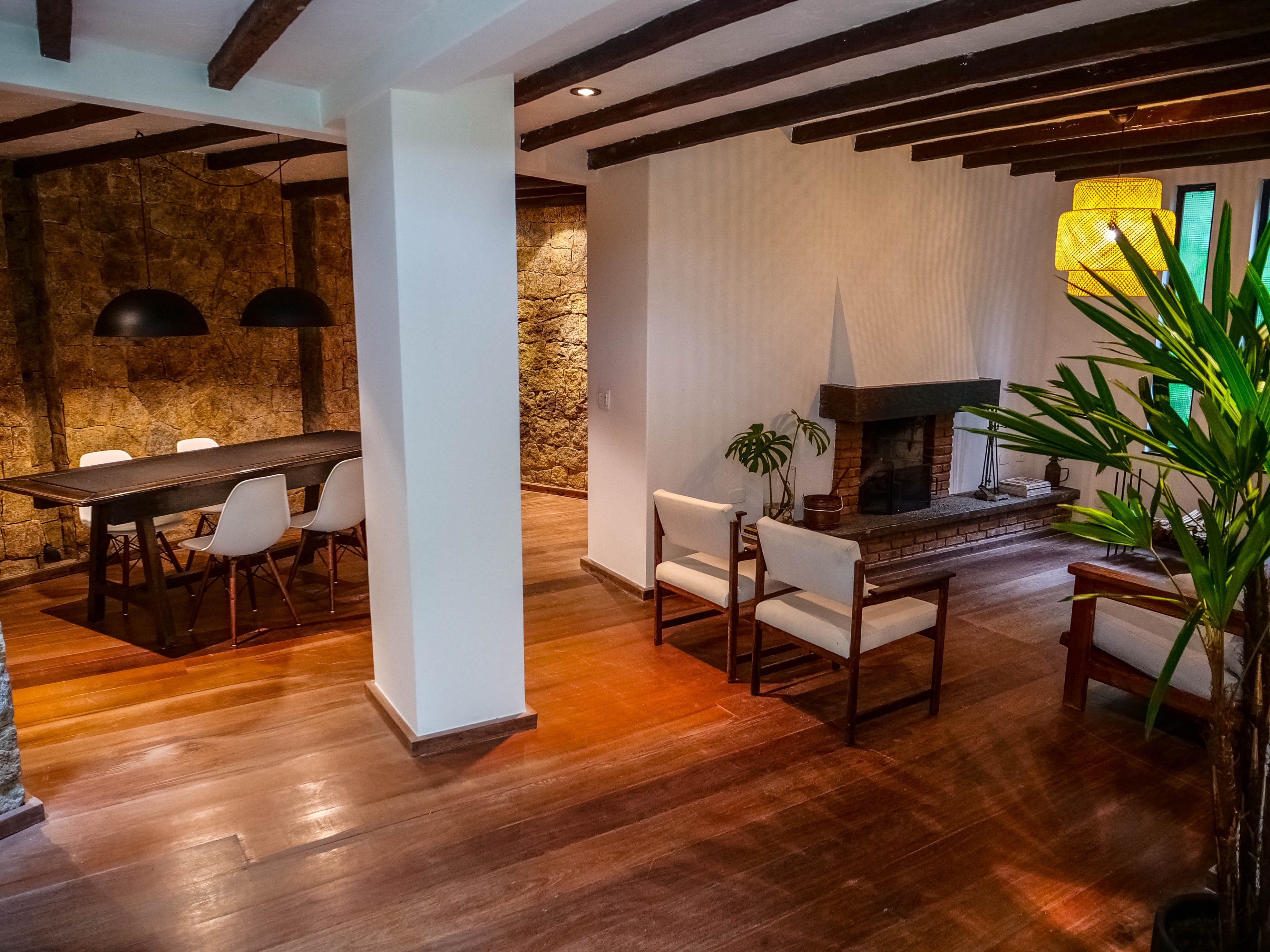 close-up of flowers on vine