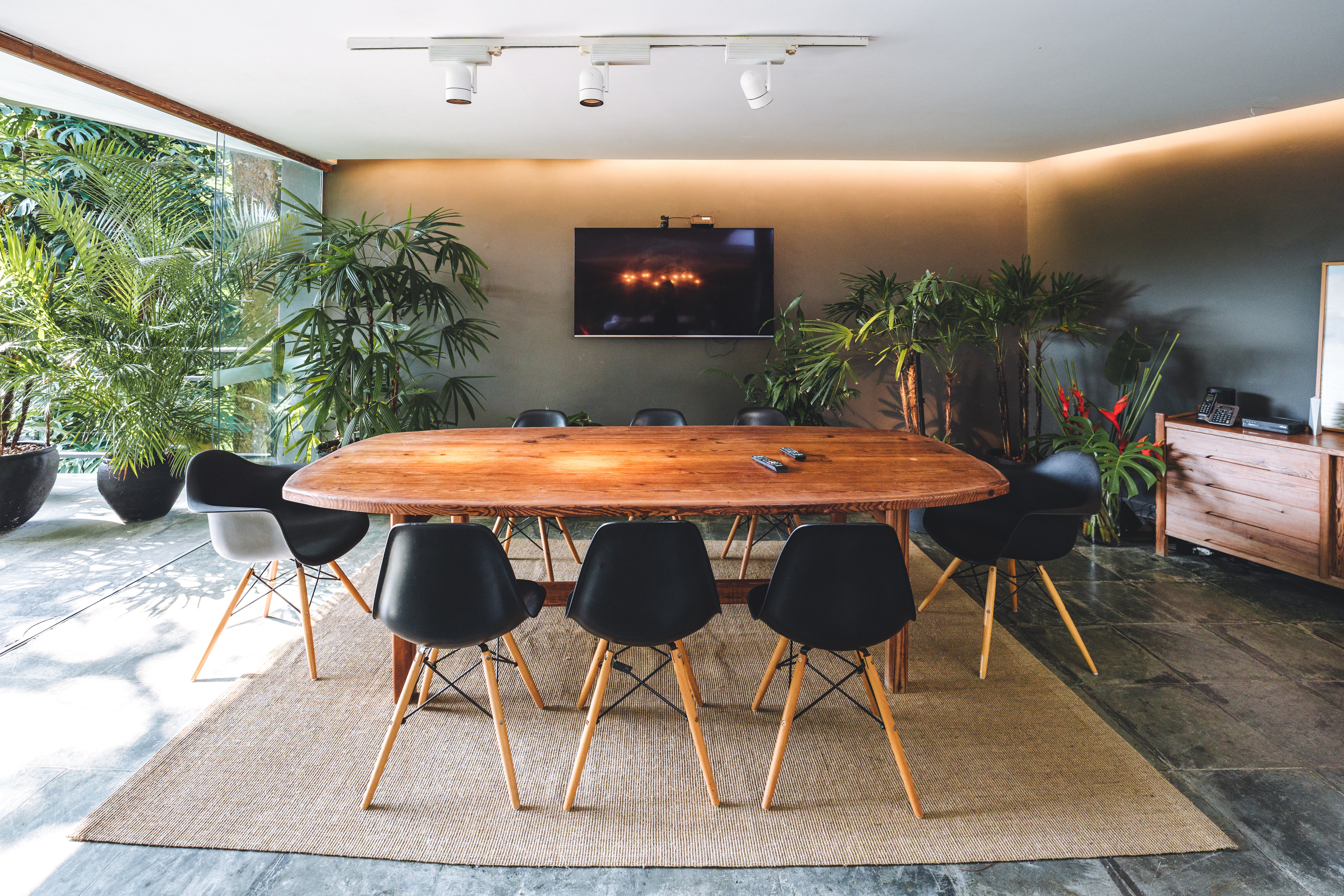 close-up of green plant