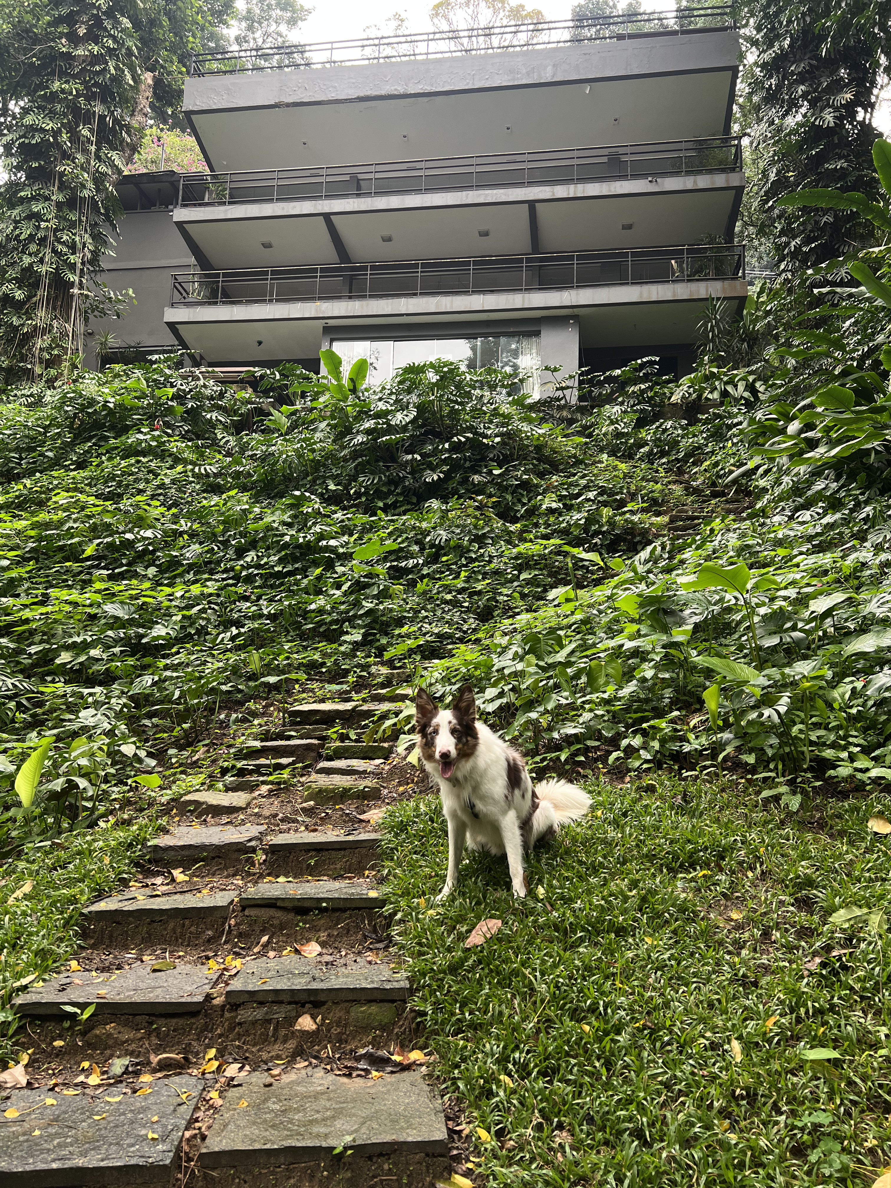 green garden with ponds and fountains